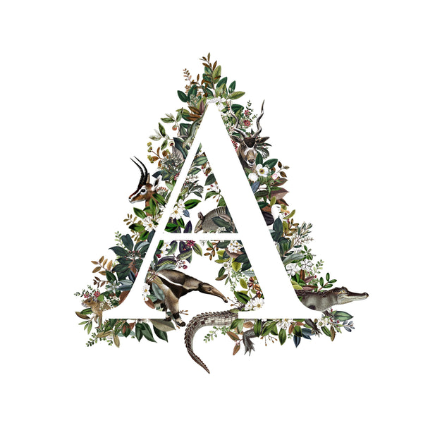 Animal Alphabet Letter 'A'