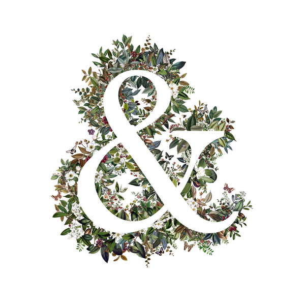 Animal Alphabet Ampersand Symbol