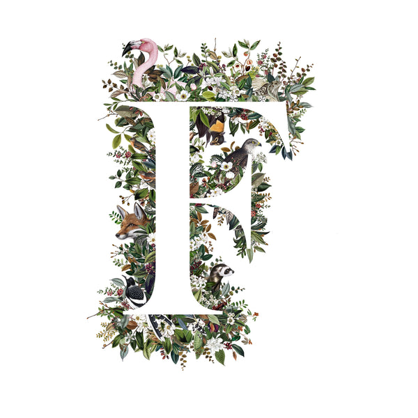 Animal Alphabet Letter 'F'