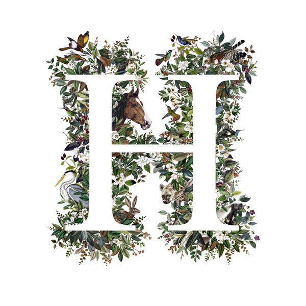 Animal Alphabet Letter 'H'