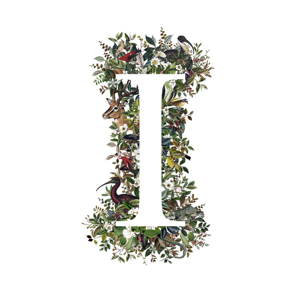 Animal Alphabet Letter 'I'