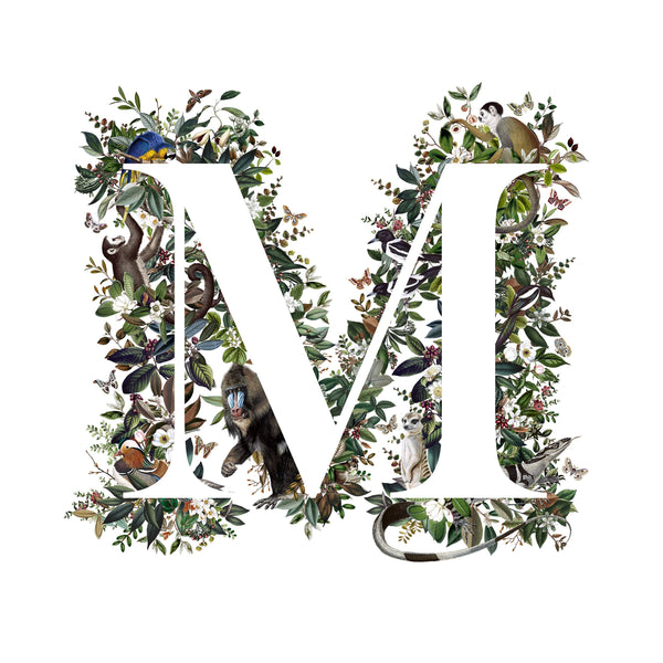 Animal Alphabet Letter 'M'