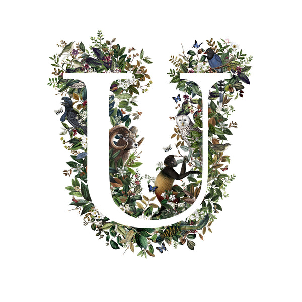 Animal Alphabet Letter 'U'