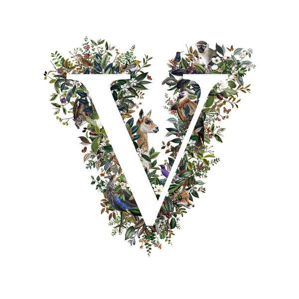 Animal Alphabet Letter 'V'