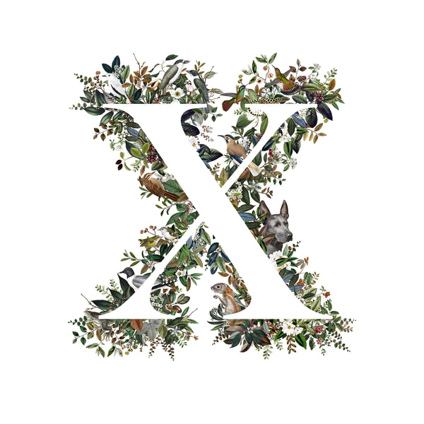 Animal Alphabet Letter 'X'