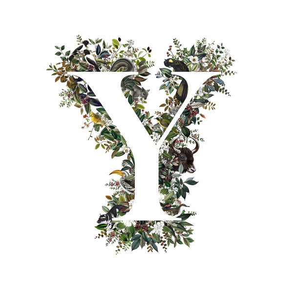 Animal Alphabet Letter 'Y'