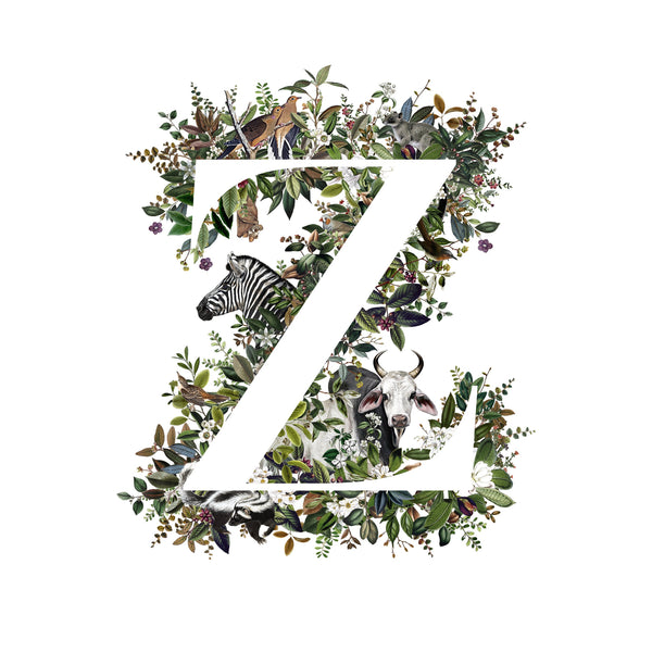 Animal Alphabet Letter 'Z'