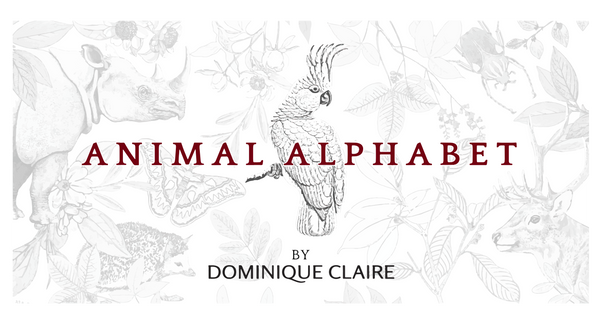 Gift Card for Animal Alphabet